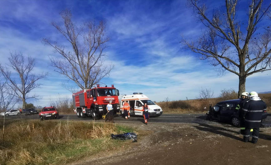 Accident rutier pe DN 79 A intre localitatile Ineu si Bocsig | imaginea 1