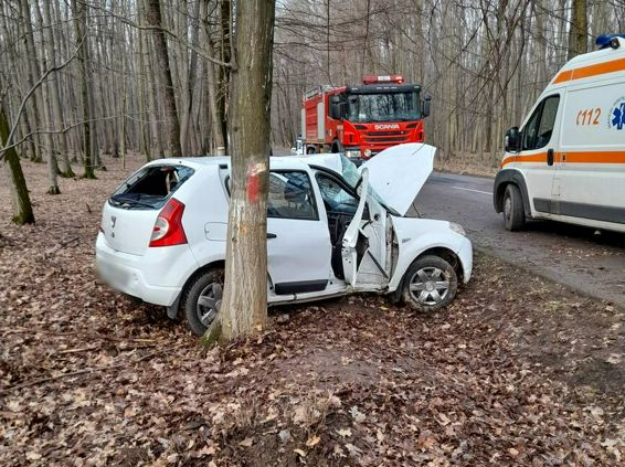 Accident rutier soldat cu doua victime | imaginea 1