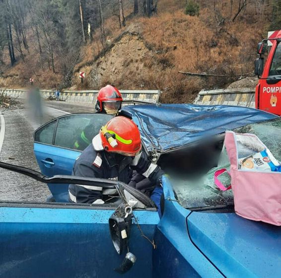 Un arbore s a prabusit peste o masina curmand viata unei femei | imaginea 1