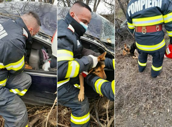 Un barbat si cainele sau au derapat cu masina in care calatoreau | imaginea 1