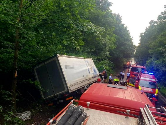 Un baietel si un adult si au pierdut viata in urma unui grav accident rutier | imaginea 1
