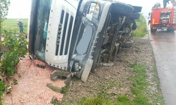 Un camion a parasit partea carosabila si s a rasturnat in afara drumului | imaginea 1