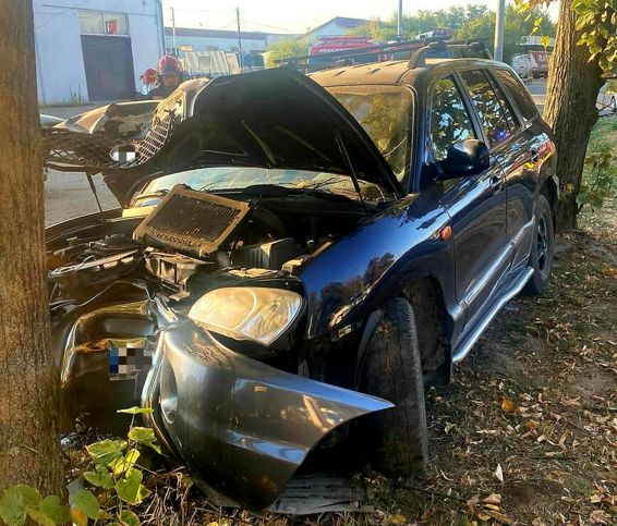 Autoturism intrat frontal intr un copac | imaginea 1