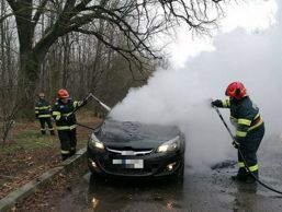 Explozie urmata de incendiu  in autoturismul condus de un tanar | imaginea 1