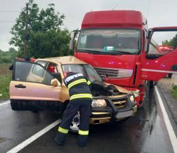 Sofer ramas captiv intre fiarele contorsionate | imaginea 1
