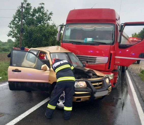 Sofer ramas captiv intre fiarele contorsionate | imaginea 1