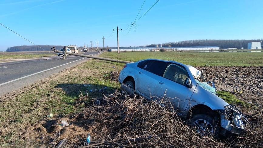 O clipa de neatentie  o viata pierduta | imaginea 2